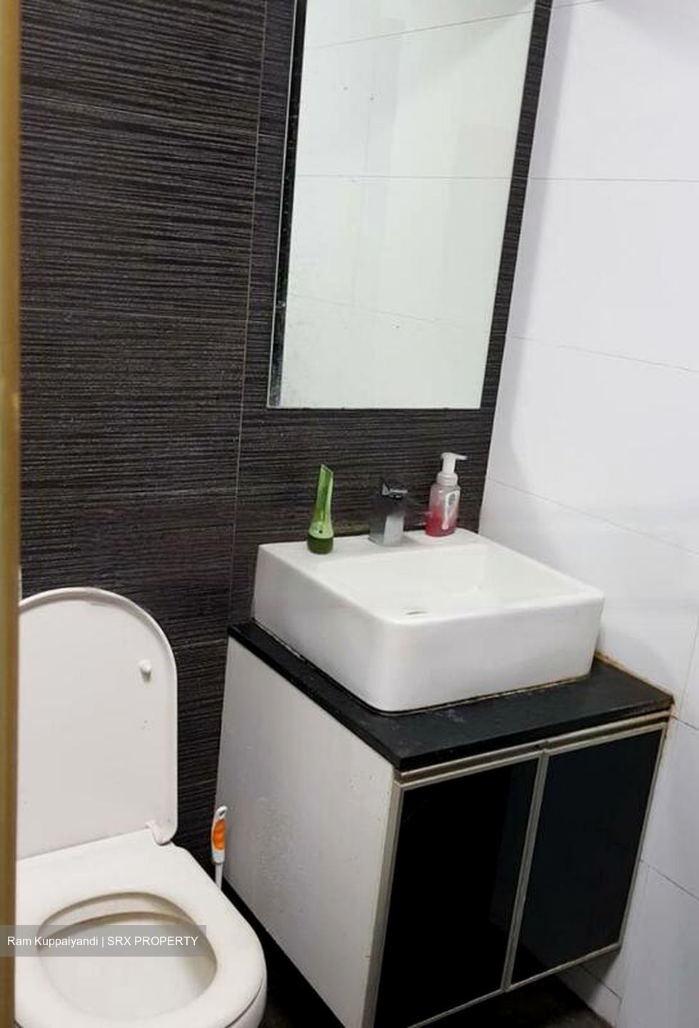 Loft @ Rangoon (D8), Apartment #466347161